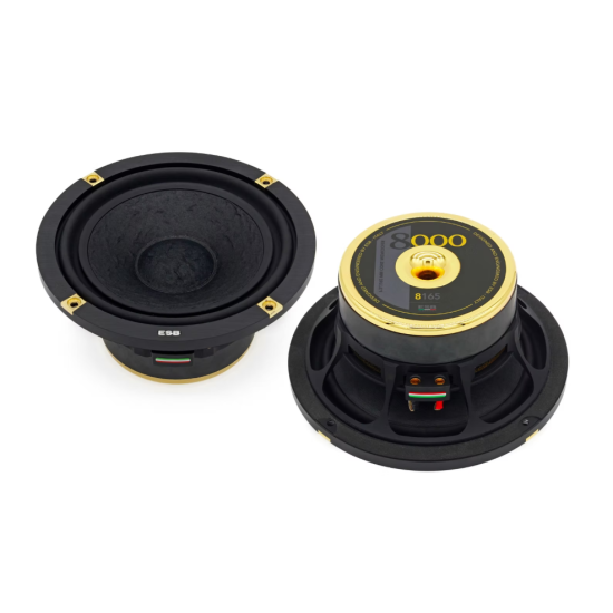 ESB AUDIO 8.165 woofer Hi-End 165 mm