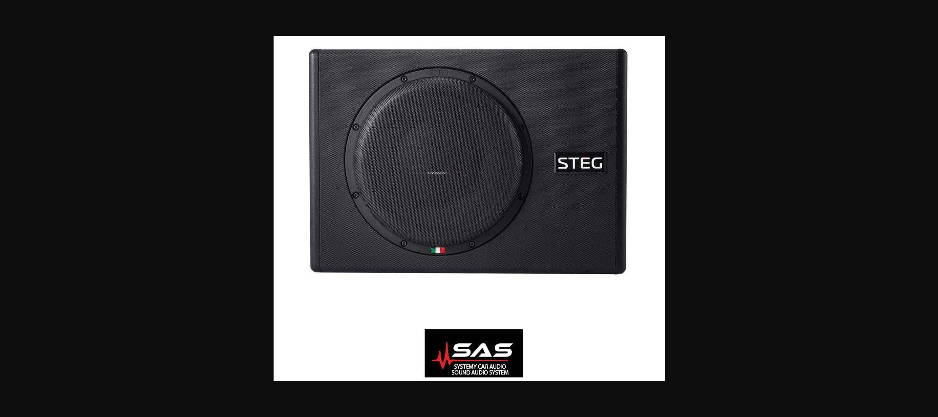 STEG ST-10P subwoofer 10 cali w obudowie
